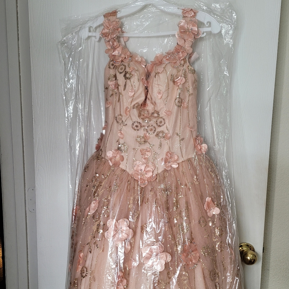 Elegant Pink Floral Gown/ Quince Dress New